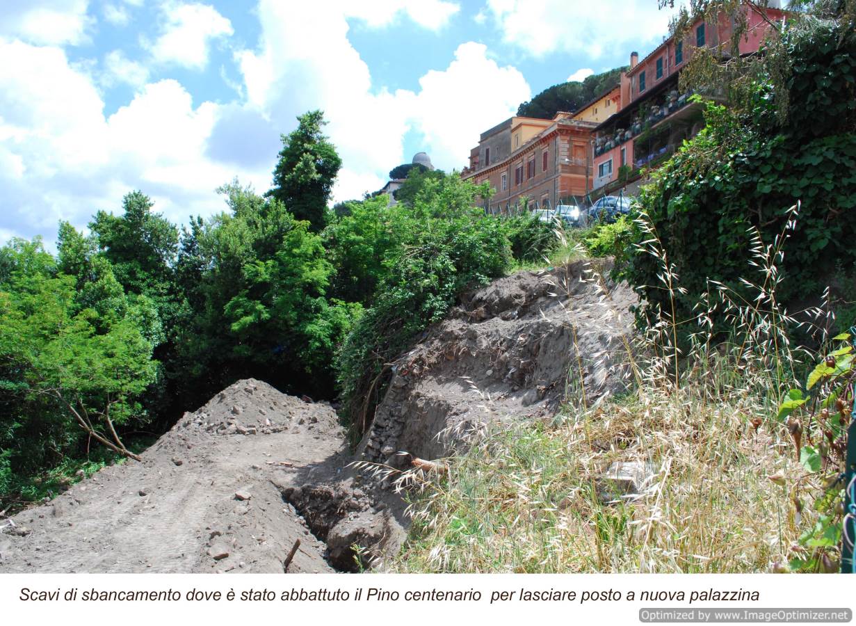 Italia Nostra manifesta contro cementificazione del lago di Castel Gandolfo Sbancamento lago Castel Gandolfo