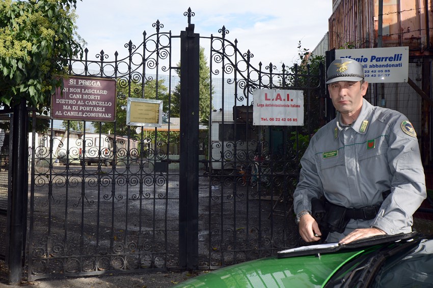 La Guardia Forestale sequestra canile lagher a Roma Canile sequestrato