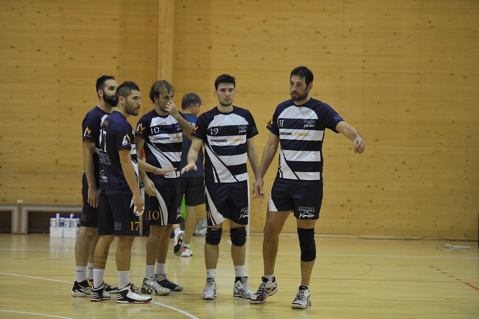 Il Monteporzio Sharks si prepara all’incontro contro Talete Monteporzio Sharks