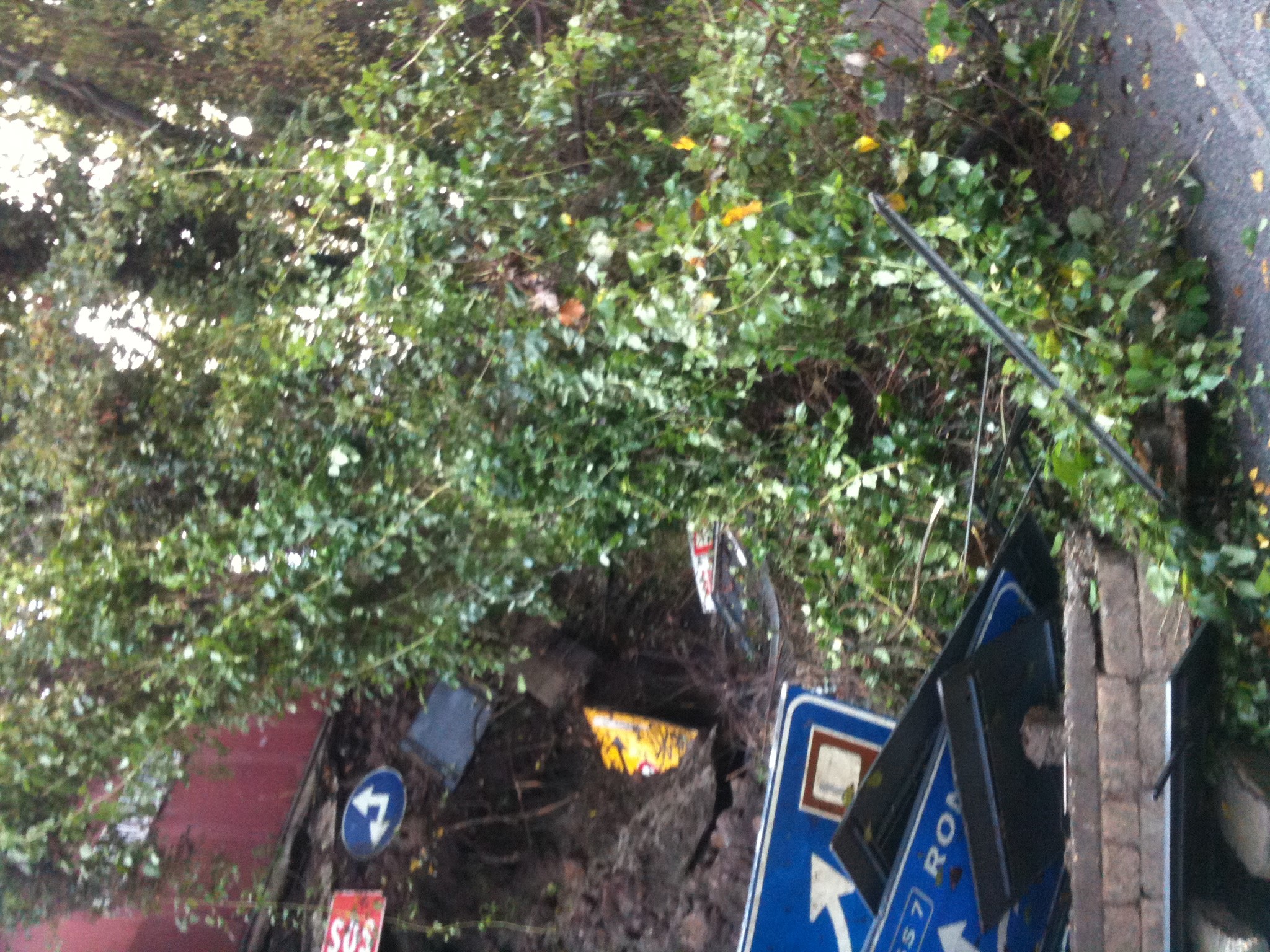 Maltempo a Marino, interrotta per frana via dei Laghi Frana via dei Laghi