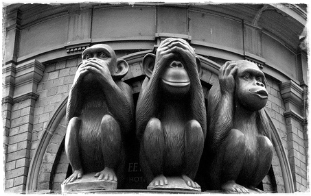 Il M5S di Genzano denuncia l’abusivismo al lago di Nemi tre scimmie