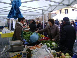 il mercato della terra a monte porzio catone