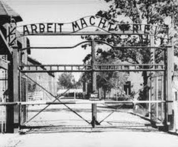 auschwitz