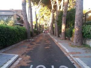 viacassani_grottaferrata