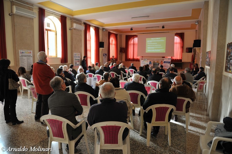 I Comitati di quartiere presentano documento Albano per Noi 2014 comitati