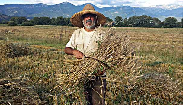 Il Consiglio Comunale di Frascati ricorda il mugnaio Silvio Paoselli mugnaio