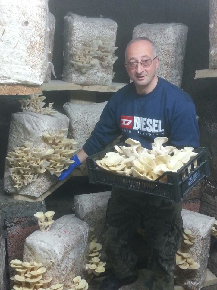 Nelle grotte di Marino la prima fungaia a Km0 fungaia