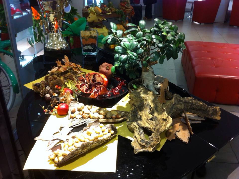 Giornate di in-formazione per il benessere oculare tramite l’alimentazione