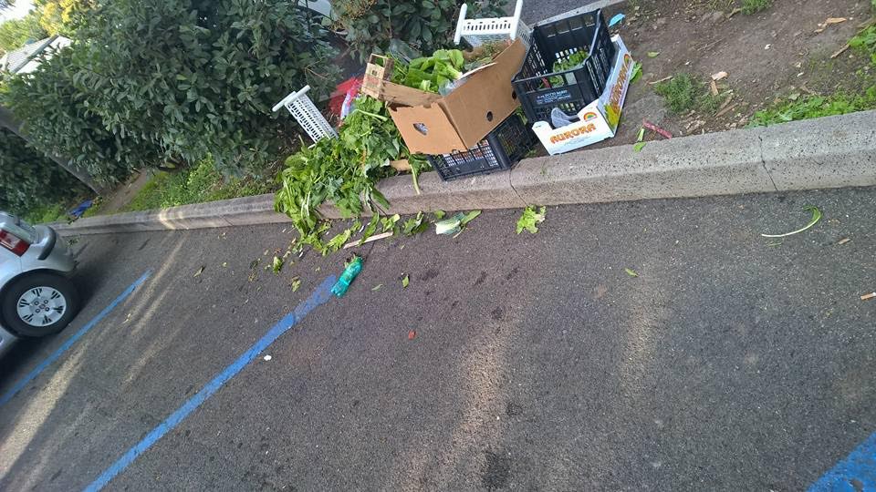 Rifiuti abbandonati dopo i mercati a Ciampino mercati