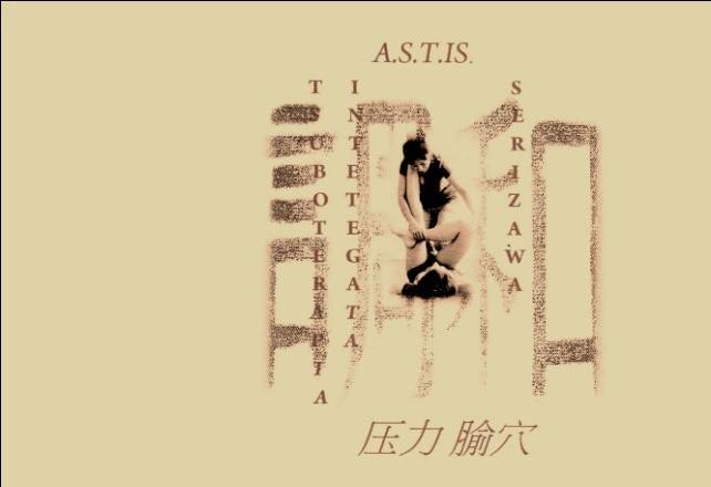 Ai Castelli Romani la prima scuola in Italia di Tsuboterapia Shiatsu astis