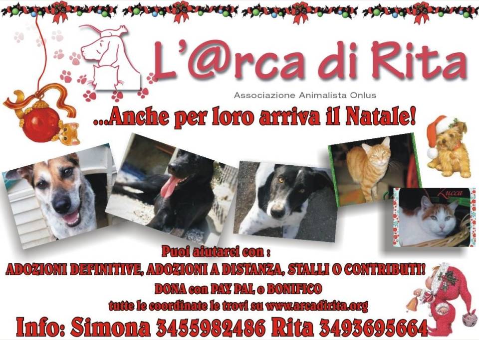 Arca di Rita Onlus, un aiuto a noi stessi adottando un cucciolo per Natale arcadirita