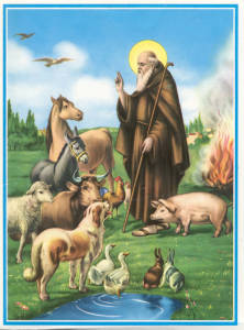 santantonioicona