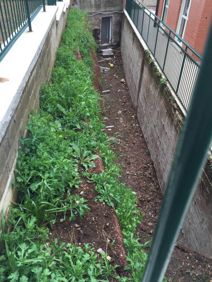 Moianetti solleva il caso della scuola Serra di Pavona Laghetto cantierecastello