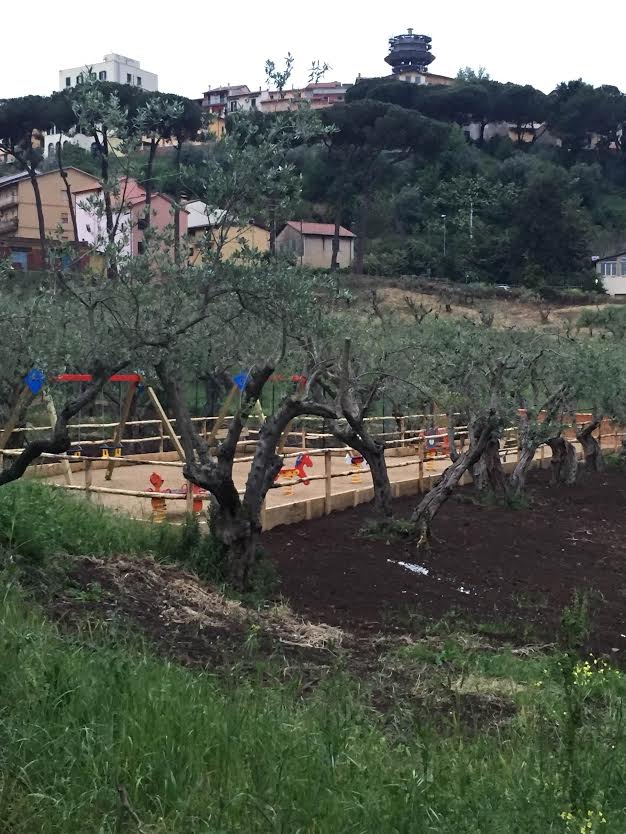 Colonna, le opposizioni critiche su gestione parchi pubblici parcoulivi