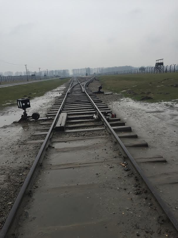Diario della Memoria, Auschwitz negli scatti di Maria Cristina Costante auschwitz