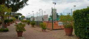 tennis