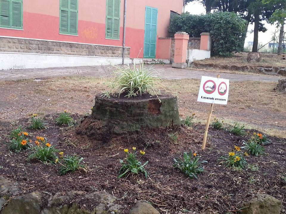 La Pro Loco di Cecchina a lavoro su Villa Del Vescovo puliziavilladelvescovo