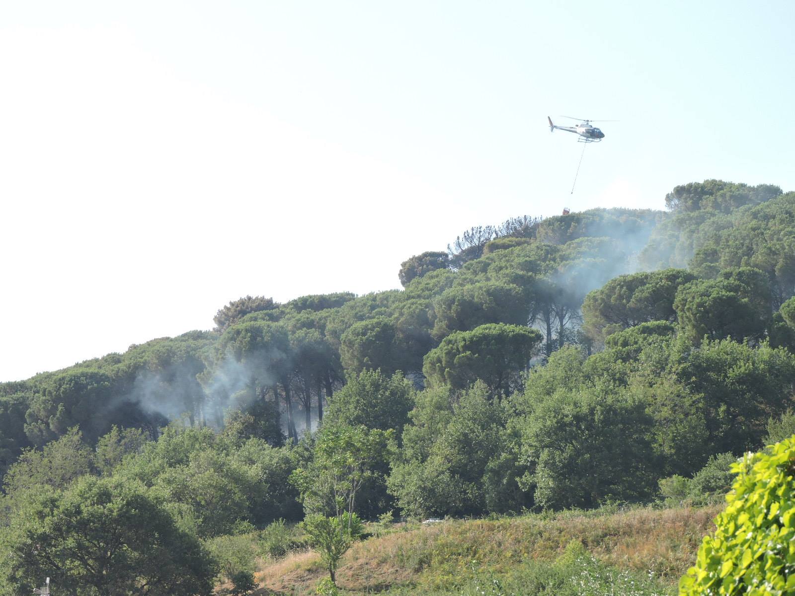 Incendi, Vigili del Fuoco al lavoro ai Castelli Romani tuscolofuoco1fotosciurba