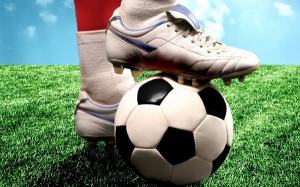 procalcio