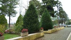 istitutofilippinifrascati
