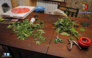 marijuana_rocca_priora