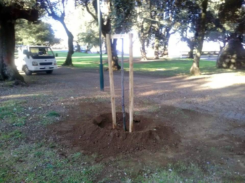 Toukon Velletri, Nicosanti convocata in Nazionale nicosanticompagnesodero