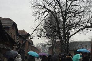 auschwitz_foto_costante