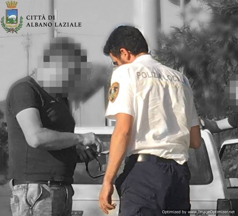 Arrivano le fototrappole ad Albano fototrappole