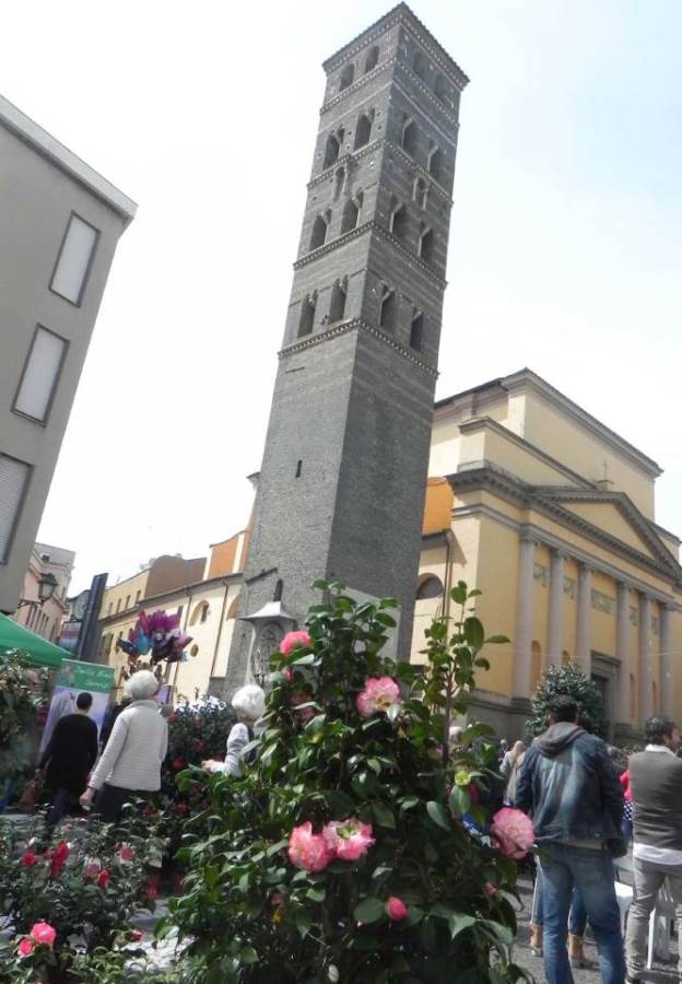 A Velletri inaugurata la Festa delle Camelie festacamelie