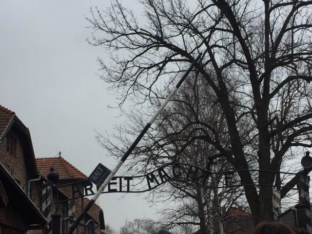 Il Liceo Vailati ricorda le vittime della Shoah