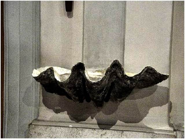 A Colonna il premio letterario La Tridacna latridacnacolonna