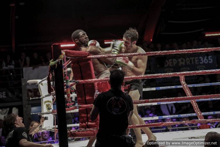 Muay Thai, Casella sul tetto del mondo caselllamondiale