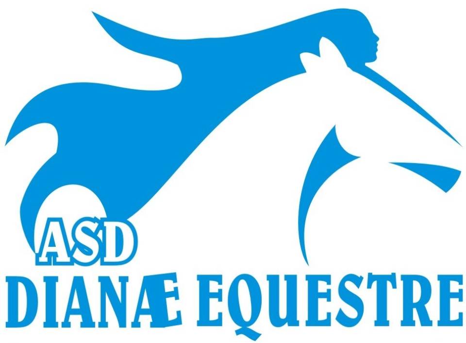 Bilancio Comunale Ciampino, parla Abbondati asddianaeequestre