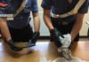 Sequestrate dai Carabinieri armi e droga a Tor Bella Monaca armi