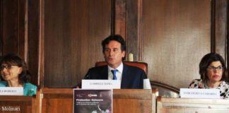 Conclusi ad Albano corsi del progetto Protection Network sepio