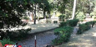 Albano, nuovo impianto di irrigazione a Villa Doria villadoria