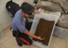 Carabinieri sequestrano la droga della movida droga