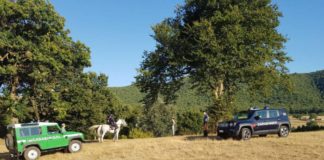 Contro i piromani Carabinieri a cavallo anche ai Castelli antipiromani_castelli
