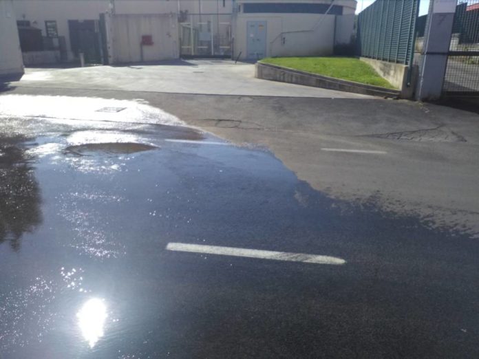 perdita_quarto_negroni