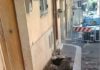 Albano Laziale, voragine a Via Murialdo voragine