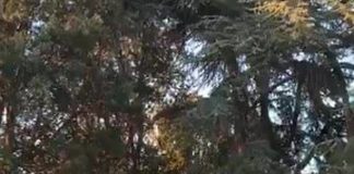 Matteo Renzi a Frascati apre la Festa de L’Unità