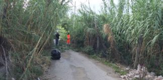Frascati, bonifica ambientale in via Grotti Dama bonifica_grotti_dama