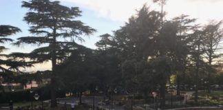 Genzano, polemica su scritte neofascite e neonaziste genzano