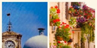 Colonna Insieme si Può lancia il Progetto Balconi in fiore balconi_colonna