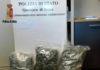 Operazione antidroga anche ai Castelli Romani casilino_droga