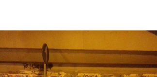 Forza Nuova Castelli Romani, “italiani per sangue e cultura” italiani_fn