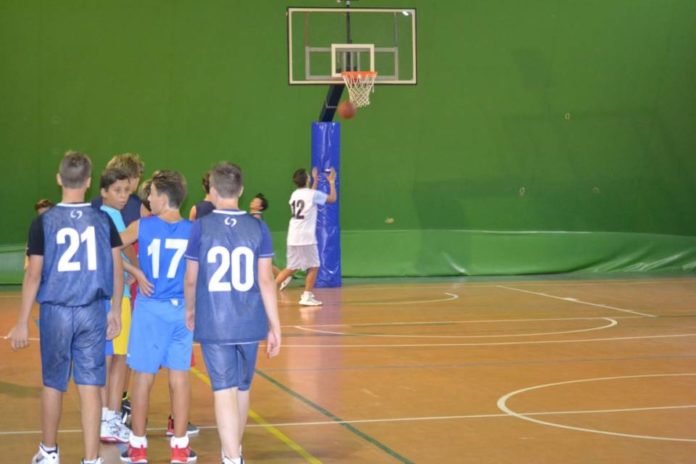 basket_u14