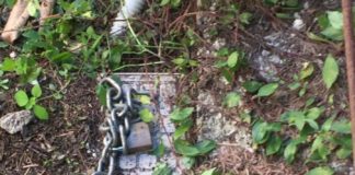 Atto vandalico al Comune di Velletri per circa 70mila euro di danni vandalismo