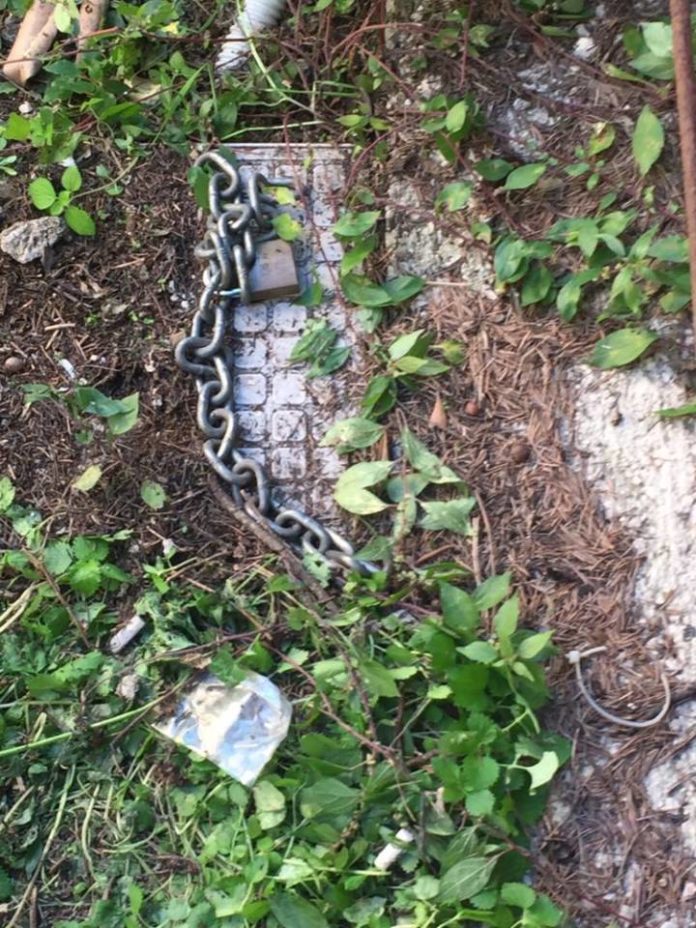 vandalismo vandalismo