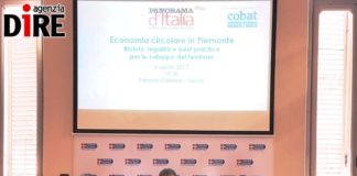 Cobat, “Su auto elettriche servono incentivi” raee_torino_cobat_dire